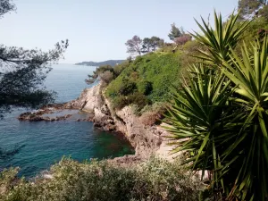 Image of Typical Toulon apartment 50M beaches