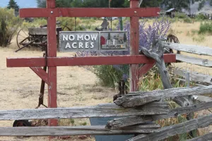 Image of No Mow Acres  \/ Located in  the Oregon High Desert