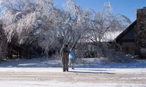 Image of Rural hiding place