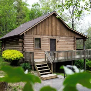 Image of Blackjack - Hosted by The Chalets