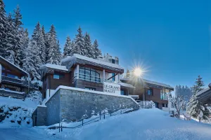 Image of Apartment chalet at the foot of the slopes in the mountains - ski in/off
