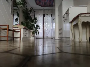 Image of VACATION WITH DOG IN VACATION HOME WITH TERRACE GARDEN AND POOL