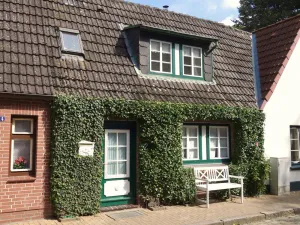 Image of Ivy nest, Germany