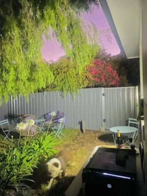 Image of Pet friendly 4 bedroom property in the heart of Penola.