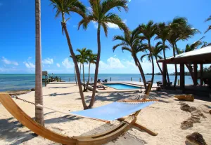 Image of Lush Garden Estate in Islamorada FL, W\/ Pool, Dockage, Ocean Front & great views