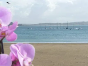 Image of L'ORMEAU - BREATHTAKING VIEWS OF CROZON MORGAT BEACH