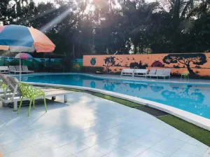 Image of Tea Heaven Resort