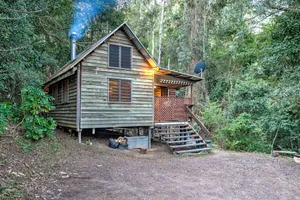 Image of Bellbird Studio, pet friendly,  glamping getaway