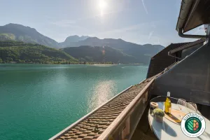 Image of LES LIBELLULES - LOFT surplombant le lac