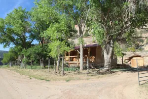 Image of Vineyard views from our cozy Montezuma Cabin