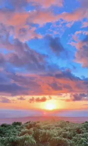 Image of 5 Minutes to Beach & Town-Perfect Location, Private & Peaceful.  A\/C