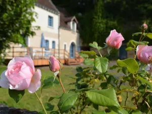 Image of Maison de caractère 1840 en Touraine avec grand jardin, pêche, à proximité de Loches et châteaux. - FR-1-381-558