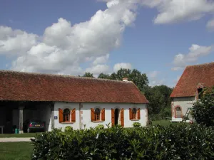 Image of Maison en Sologne avec jardin, pêche, équipements de loisirs, proche des châteaux et ZooParc de Beauval. - FR-1-491-362