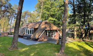 Image of Sprielderbosch 26 Luxury holiday home in the woody Veluwe region