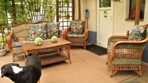 Image of Apartment Spree Idyll for 2 pers. near garden pond own terrace quiet