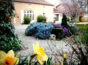 Image of Magnificent country house in a quiet location