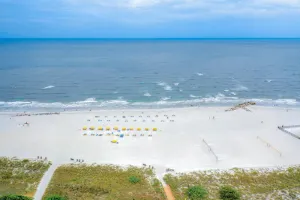 Image of Caprice 501