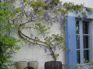 Image of Family Gite in the beautiful Charente Countryside with Pool & BBQ