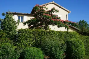 Image of Le Chat Perché - LA CHAPELLE DE GUINCHAY