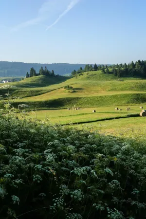 Image of Fenoula gîte in an old farmhouse in the Haut-Jura near the lakes