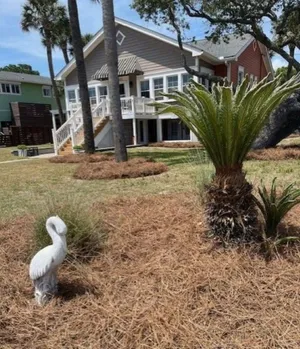 Image of SEAS THE DAY: Charming Folly Beach Apartment awaits your arrival!