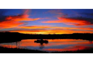 Image of Sunset Lake Home Montrose - 2 lakes on 35 acres