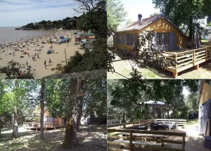Image of La Palombière, plage à 150m