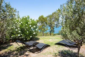 Image of Apartment\/ flat - SAINT FLORENT