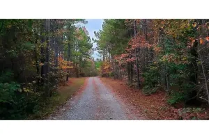 Image of Unplug and relax at this peaceful farm retreat in the North Carolina pines.