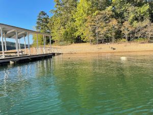 Image of Owl House on Norris Lake