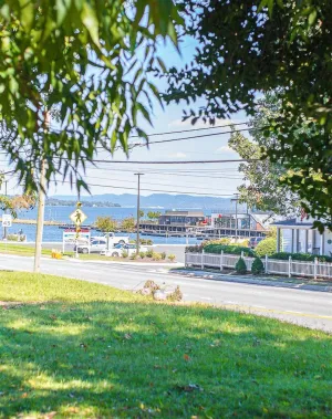 Image of Walking the Dog Condo at the City Harbor Lake Guntersville