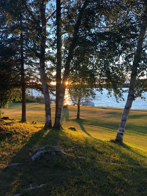 Image of Waterfront cabin on Sugar Island, minutes away from the Soo Locks.