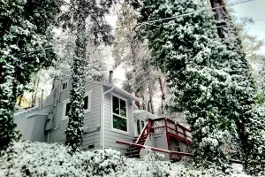 Image of Forest-view cabin with deck, grill, wood stove, washer\/dryer, & fast WiFi