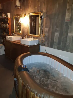 Image of The Famous Sorcerer's Pensieve