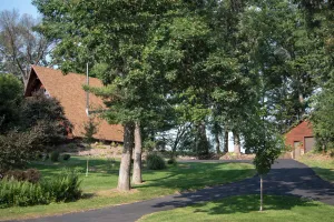 Image of Cabin Home in the City!