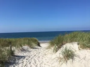 Image of Böddeker, Lidia und Dieter GM 69137