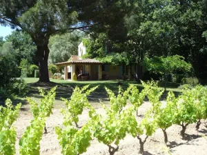 Image of Idyllic St Tropez location with pool. Tranquil setting close to all the action.