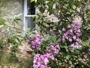 Image of LUXURIOUS Gorgeous Cottage - In the Heart of Adelaide Hills