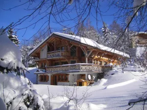 Image of Chalet cosy 12 pers. à 1km des pistes, 5 ch., WiFi, cheminée, abri voiture - FR-1-572-30
