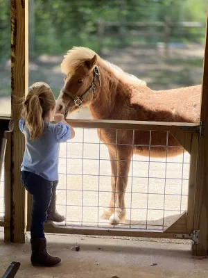Image of Ranch Lodge - A Texas Ranch Getaway