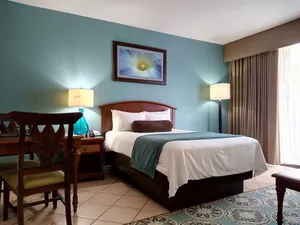 Image of Relax at our Palm Tree secluded Resort with a poolside bar and waterslide
