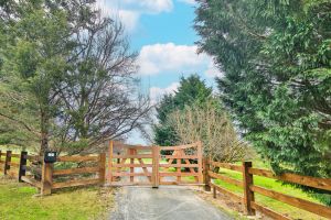 Image of Blue Willow - Bathurst Country Getaway