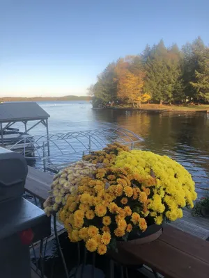 Image of New waterfront house with deck,  dock, close to Old Forge, fireplace, , patio
