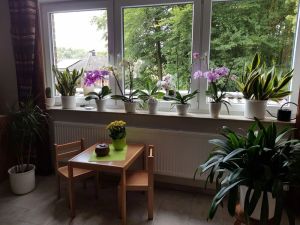 Image of Vacation apartment - Holiday apartment Lisa