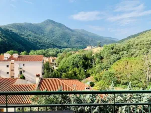 Image of F1 avec loggia, WIFI et garage à Amélie-les-Bains - FR-1-703-16