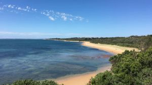 Image of Adrift at Ventnor, Pet Friendly on Phillip Island + wifi & linen