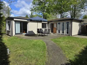 Image of De Veluwse houtduif