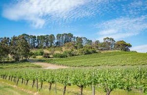 Image of McLaren Vale Getaways