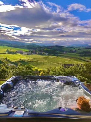 Image of Exceptional villa with swimming pool, spa, view in the middle of the vineyards