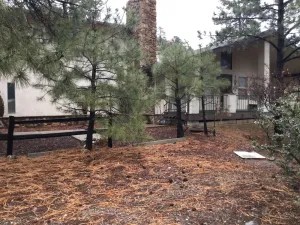 Image of Charming two bedroom  cabin located in the Hualapai mountains sleeps 8